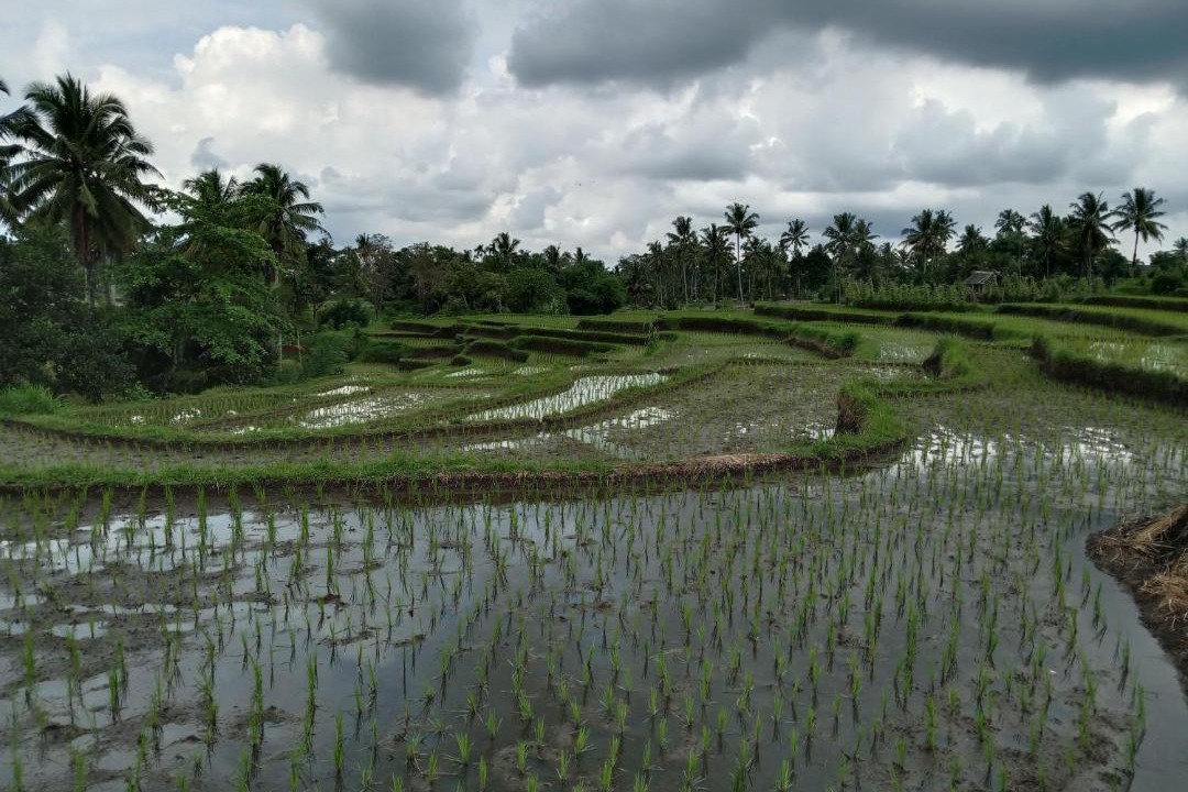 Photo of Others in Kotaraja