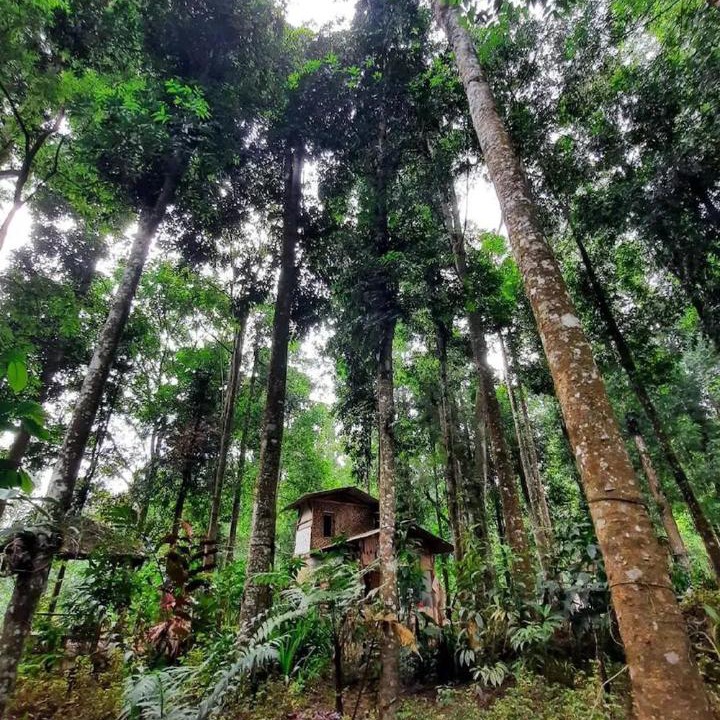 Photo of Others in Pasirjambu