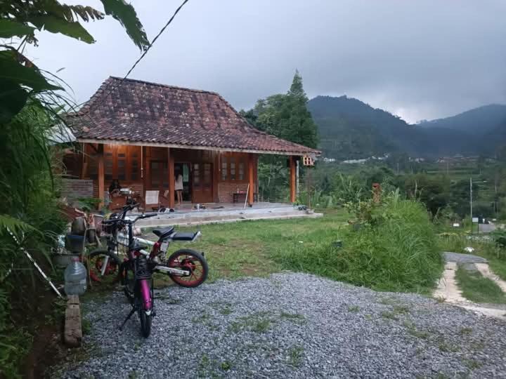 Photo of Others in Banaran
