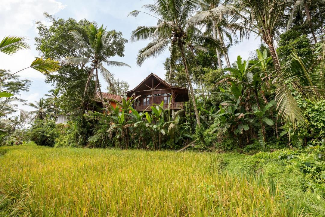 Photo of Others in Payangan
