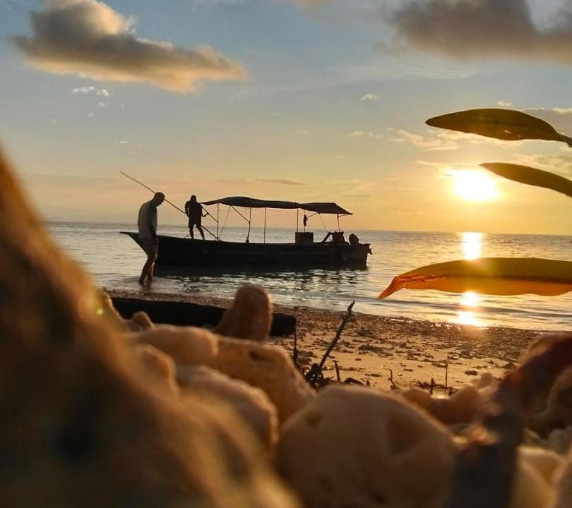 Photo of Others in Pianemo Islands