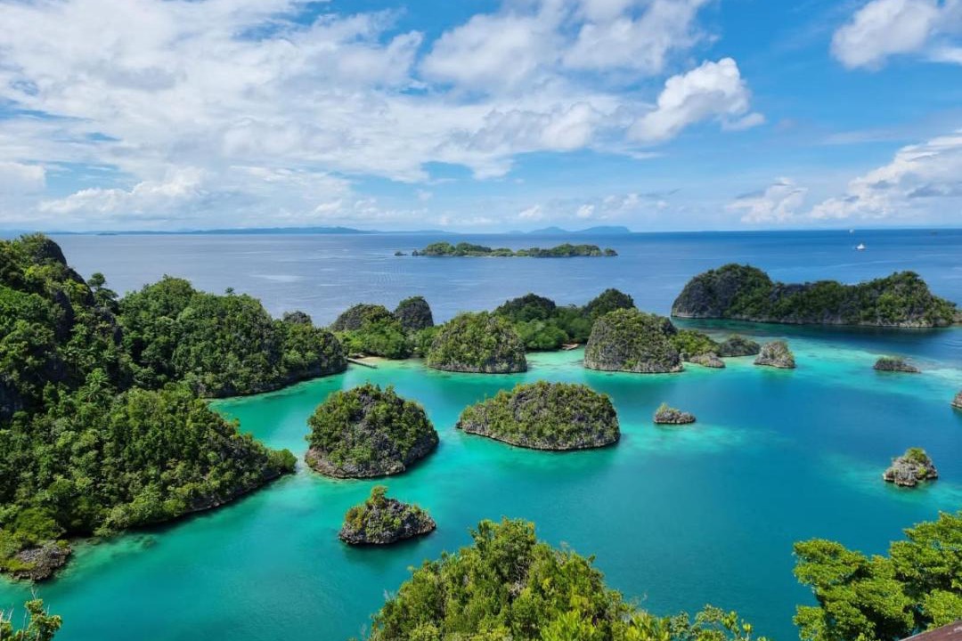 Photo of Others in Pianemo Islands