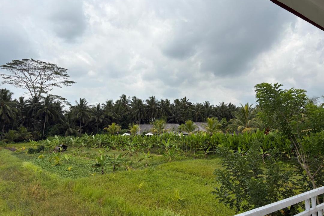 Photo of Others in Ubud