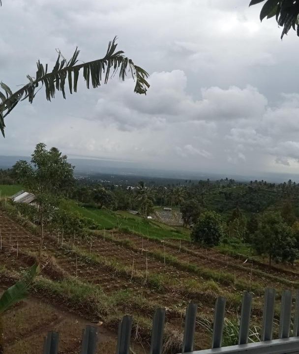 Photo of Others in Lombok