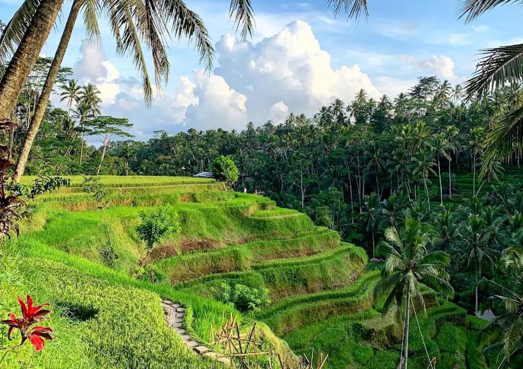 Photo of Others in Tegallalang