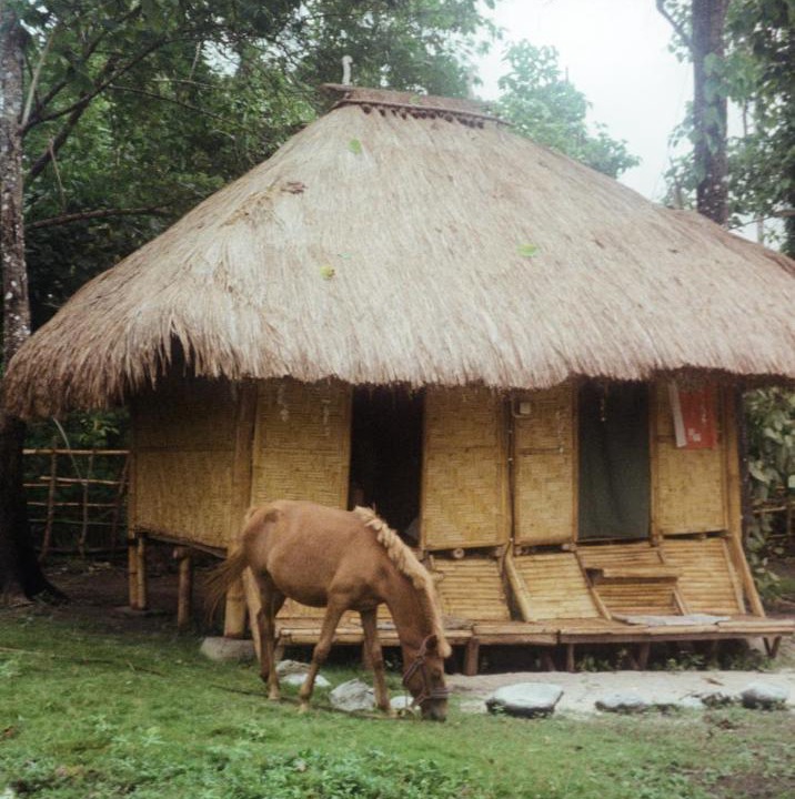 Photo of Others in Southwest Sumba