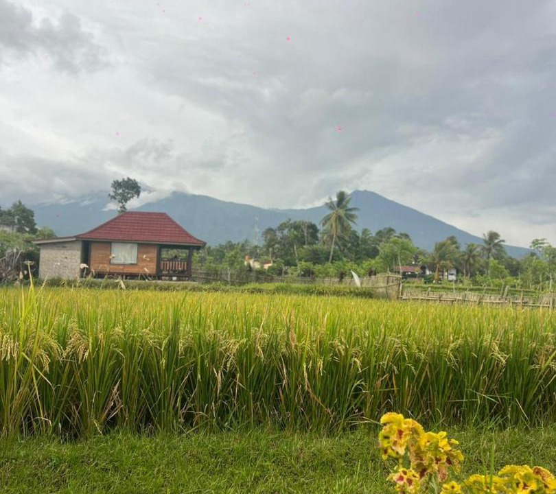 Photo of Others in Tetebatu