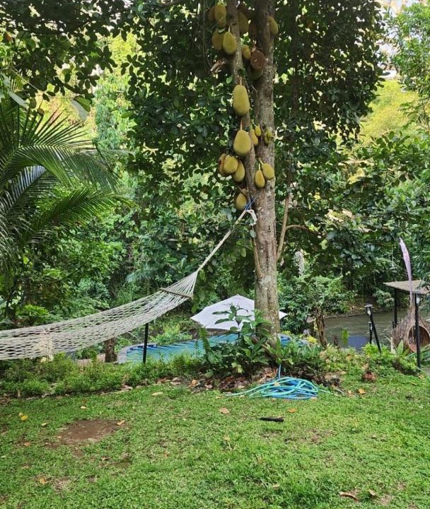 Photo of Outdoor in Singapadu Tengah