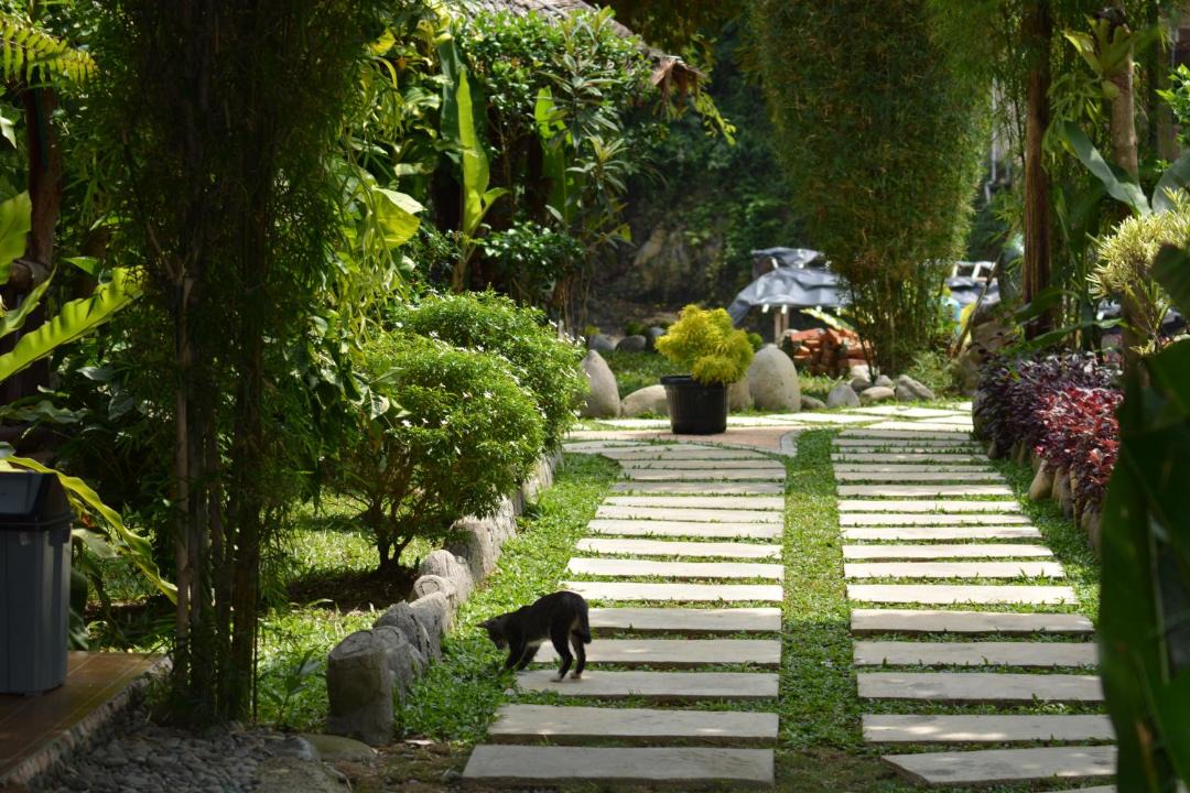 Photo of Others in Bukit Lawang