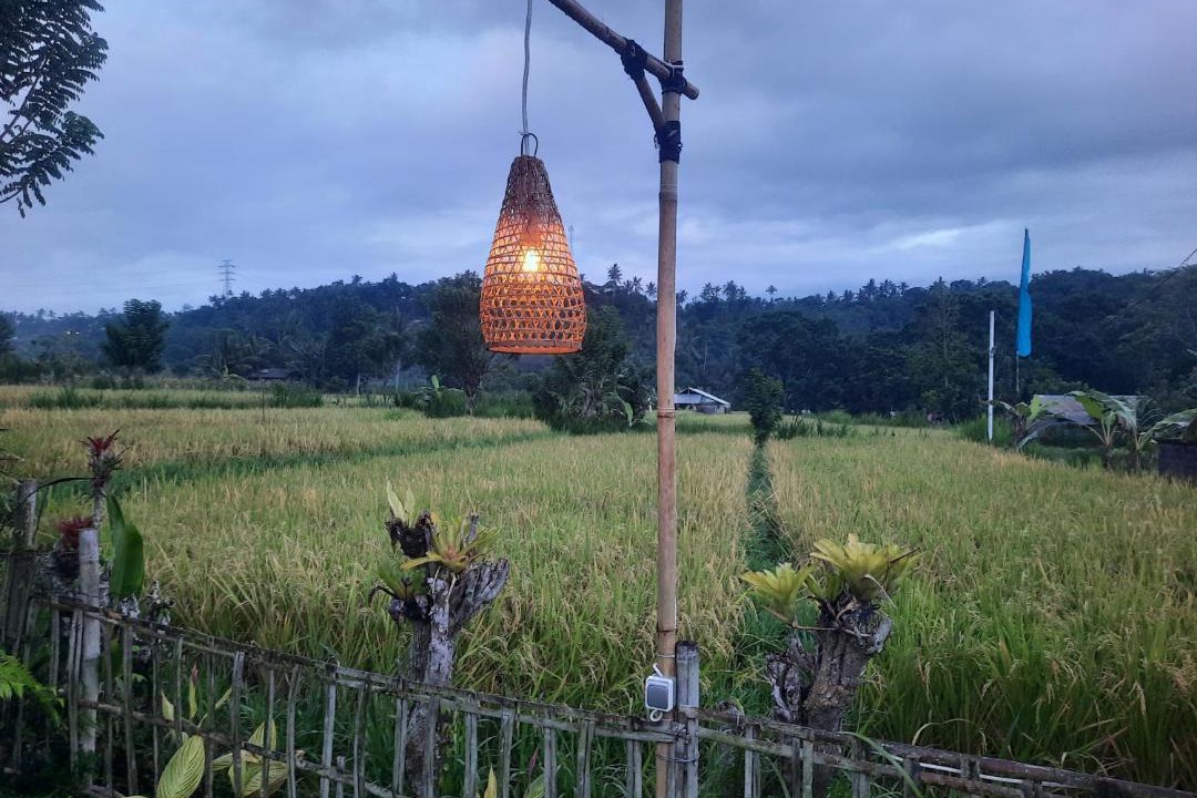 Photo of Others in Abang