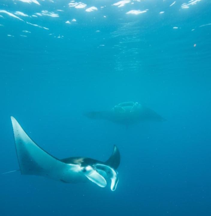 Photo of Others in Mushroom Bay