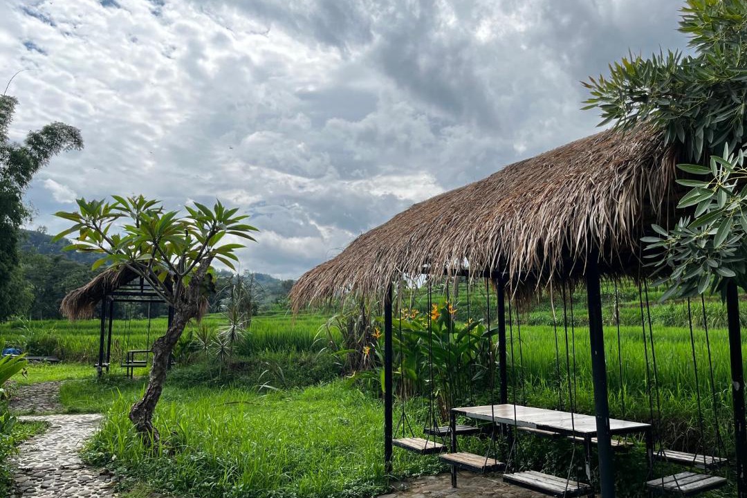 Photo of Others in Java
