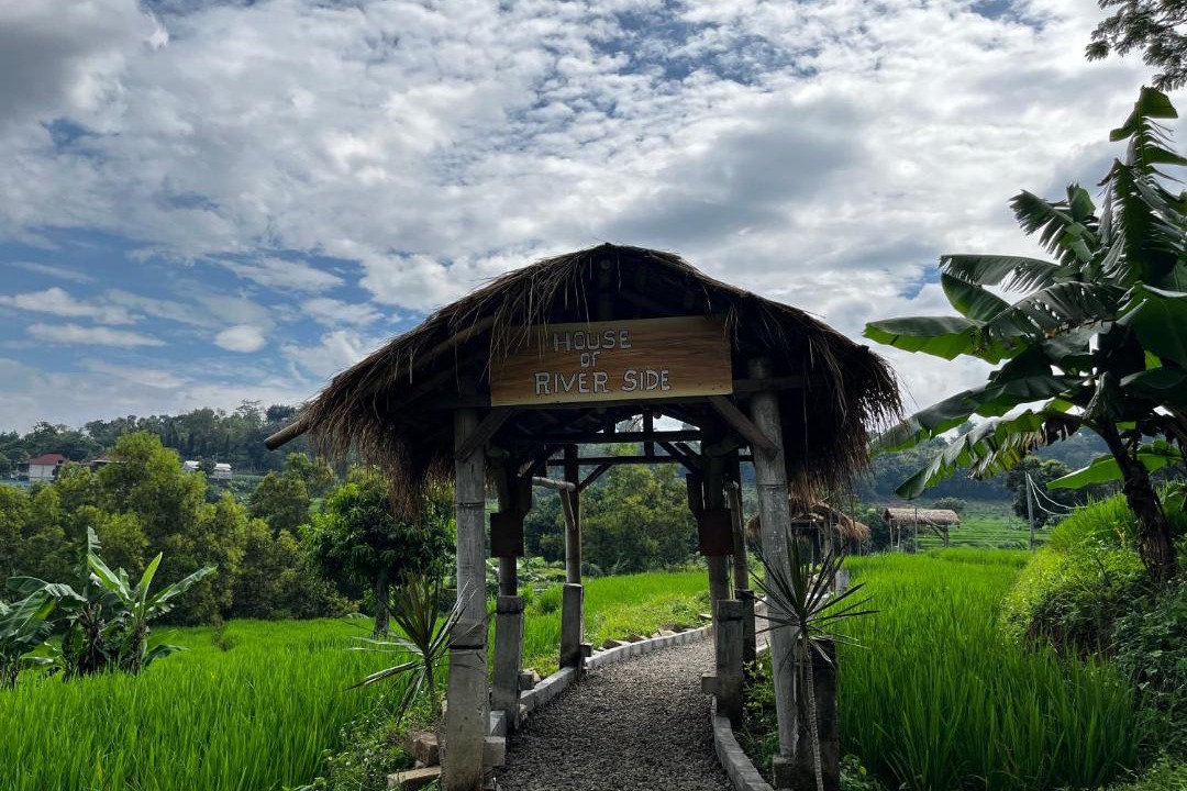 Photo of Others in Java