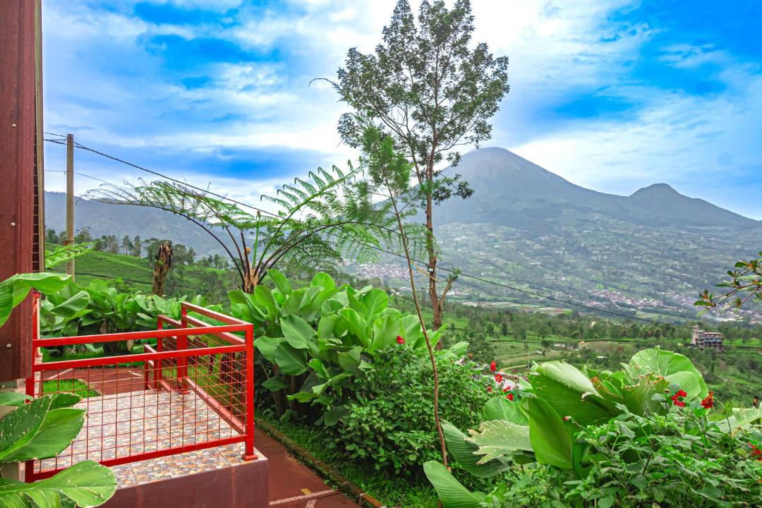 Photo of Others in Wonosobo