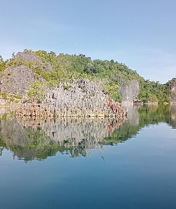 Photo of Others in Pulau Fam