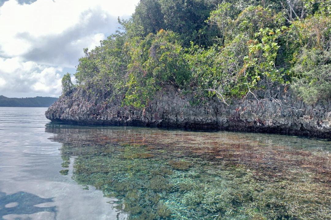 Photo of Others in Pulau Fam