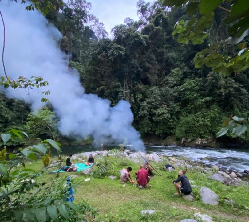 Photo of Others in Bohorok