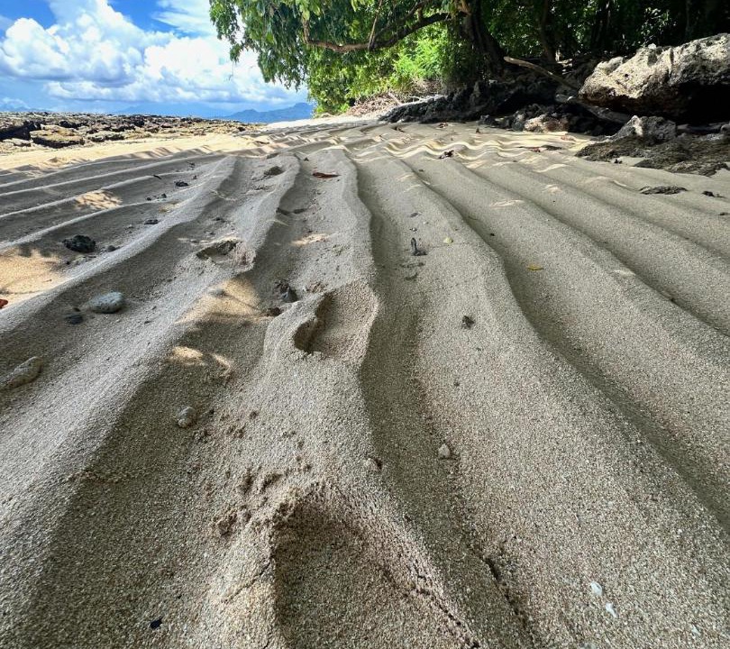 Photo of Others in Siladen Island