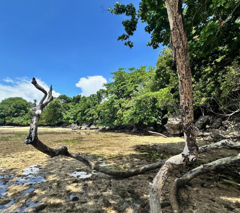 Photo of Others in Siladen Island