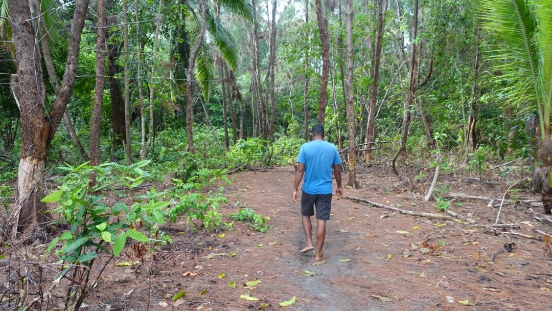 Photo of Others in Raja Ampat