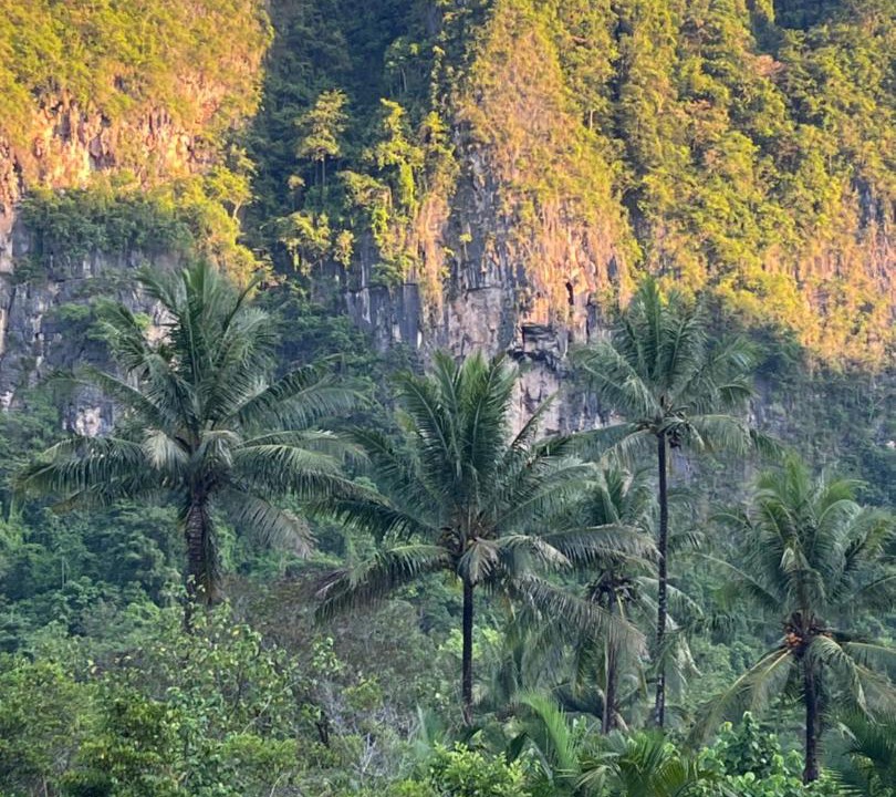 Photo of Others in Bantimurung
