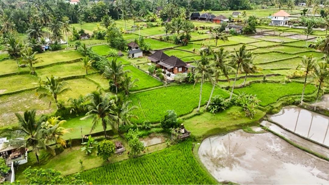 Photo of Others in Tampaksiring