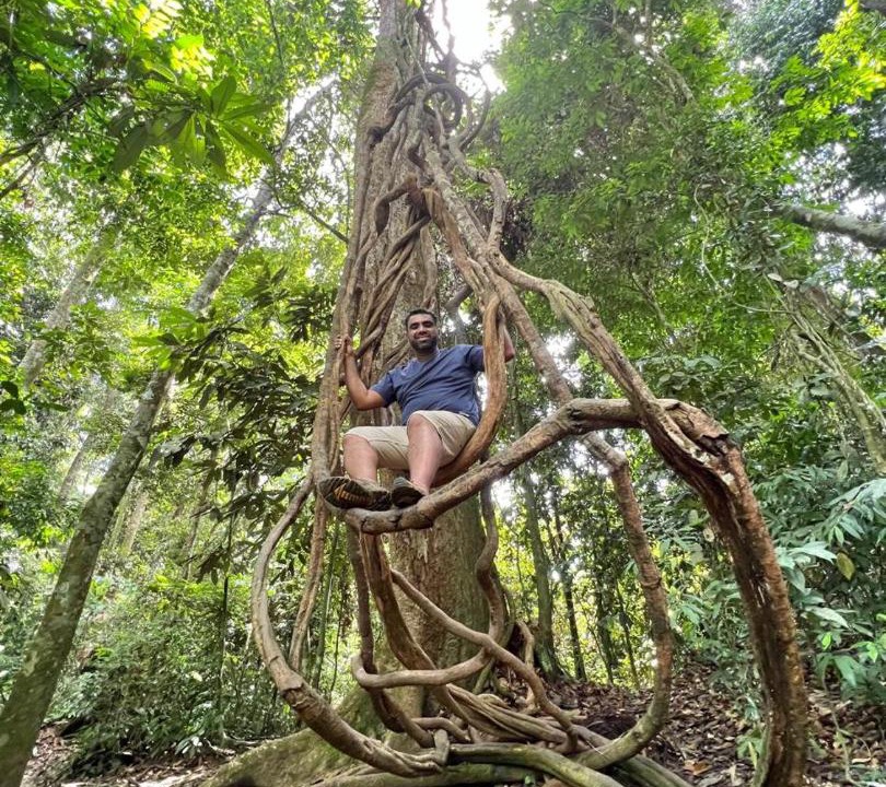 Photo of Others in Bukit Lawang