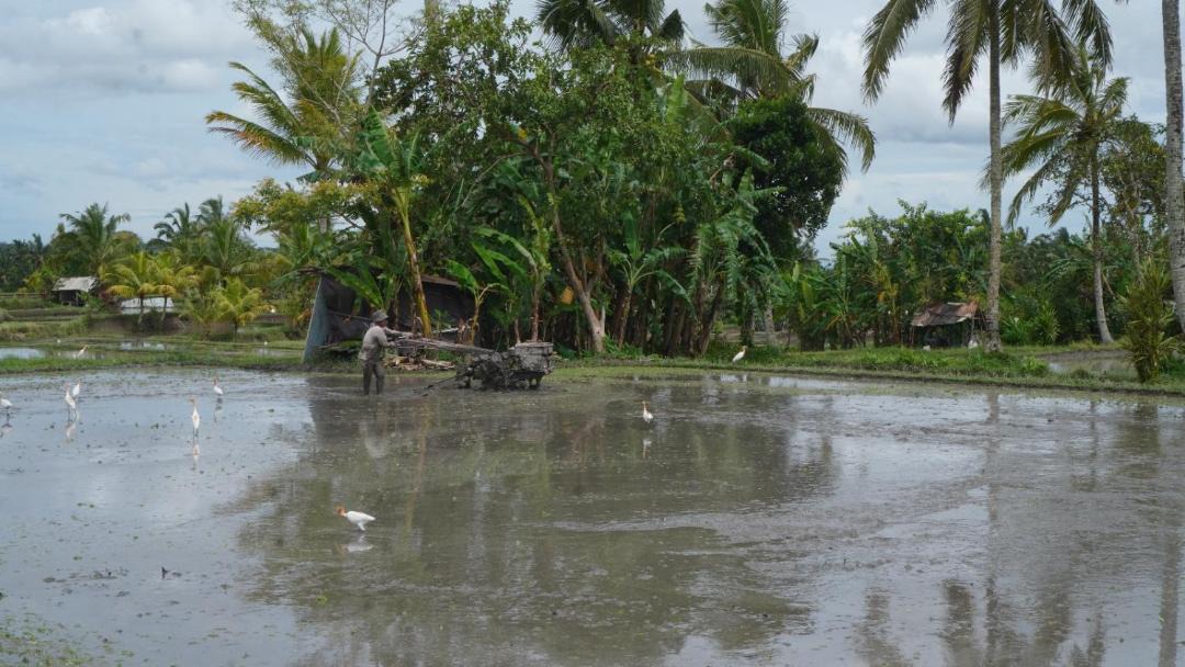 Photo of Others in Tampaksiring