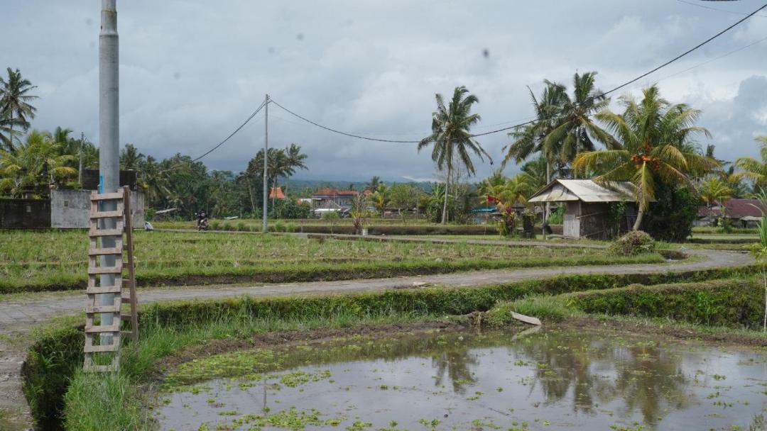 Photo of Others in Tampaksiring