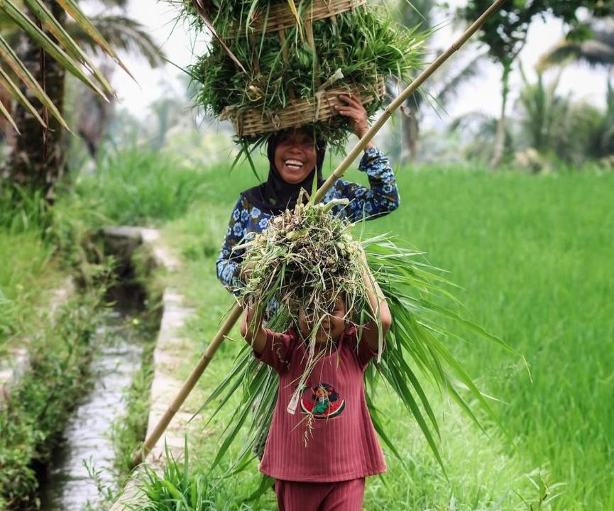 Photo of Others in Kecamatan Pringgasela