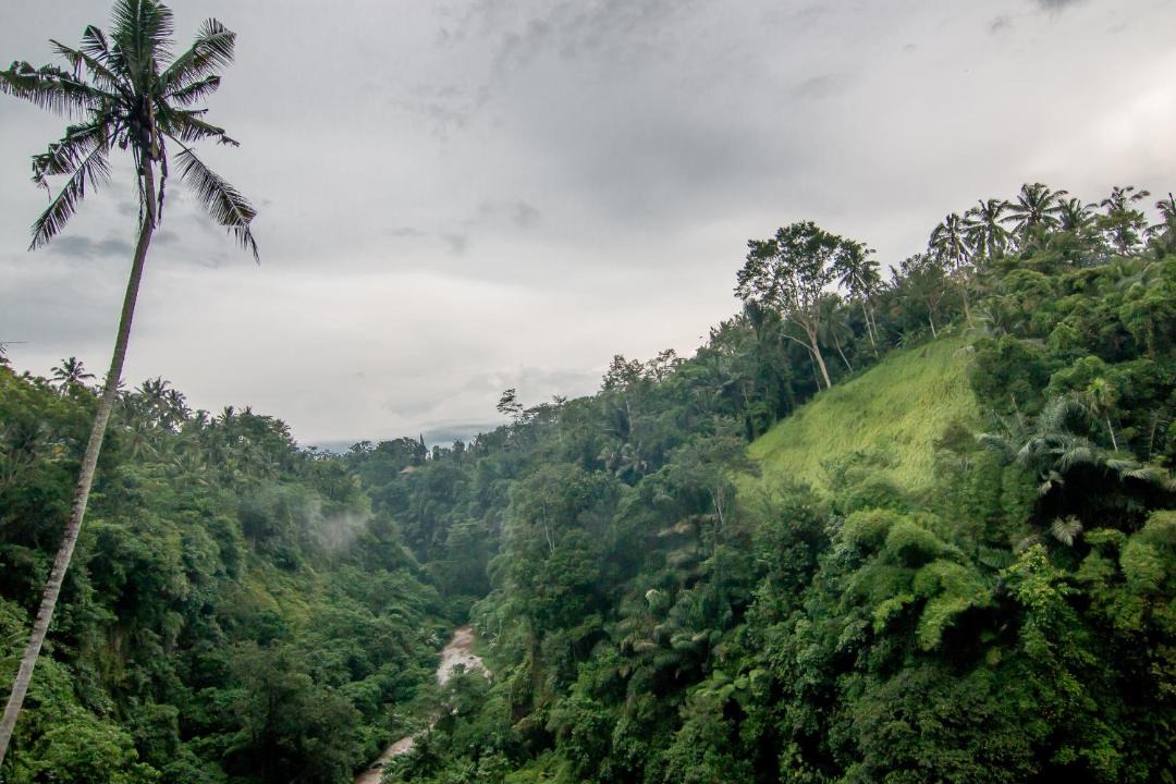 Photo of Others in Kedewatan