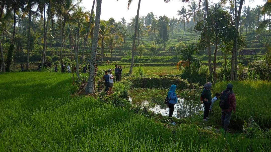 Photo of Others in Kecamatan Pringgasela