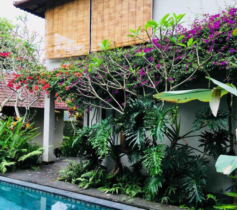 Photo of Others in Ubud