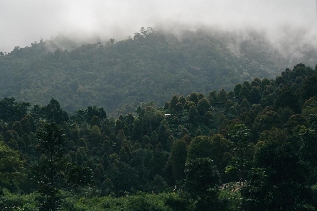 Photo of Others in Munduk