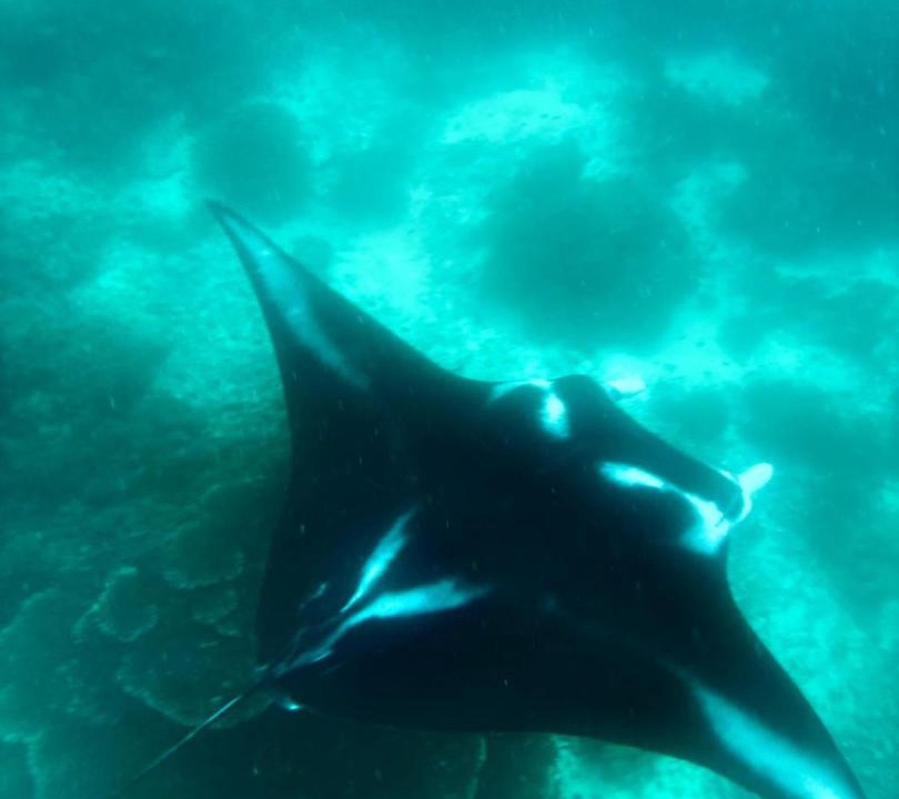 Photo of Others in Raja Ampat