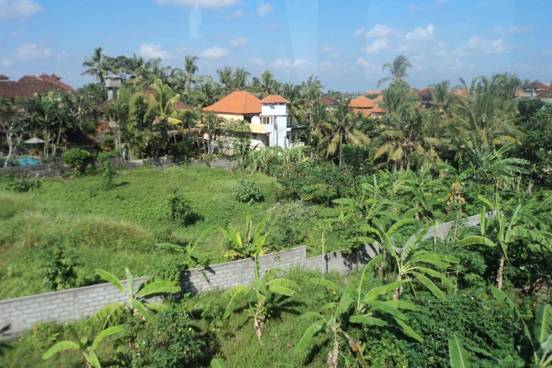 Photo of Others in Ubud City-Centre