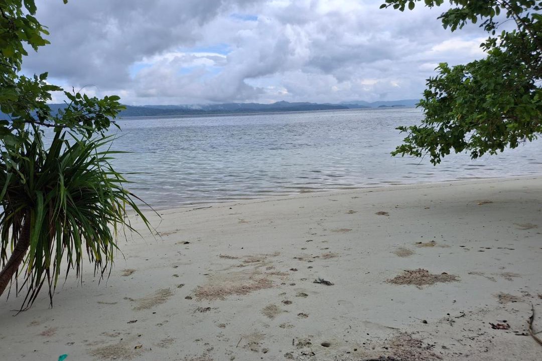 Photo of Others in Mansuar Island