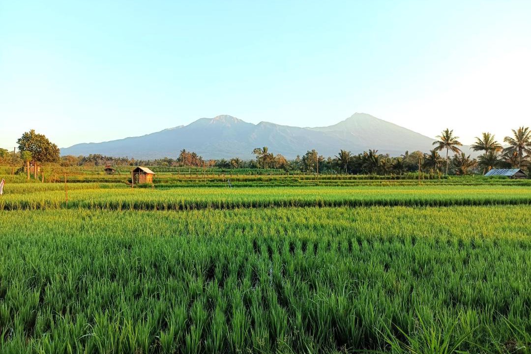 Photo of Others in Tetebatu
