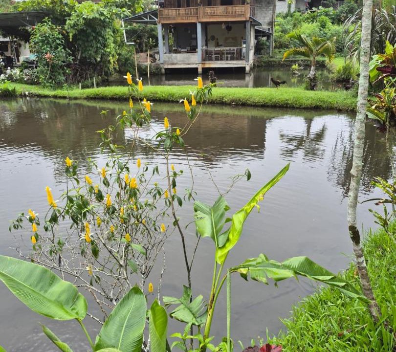 Photo of Others in Tomohon