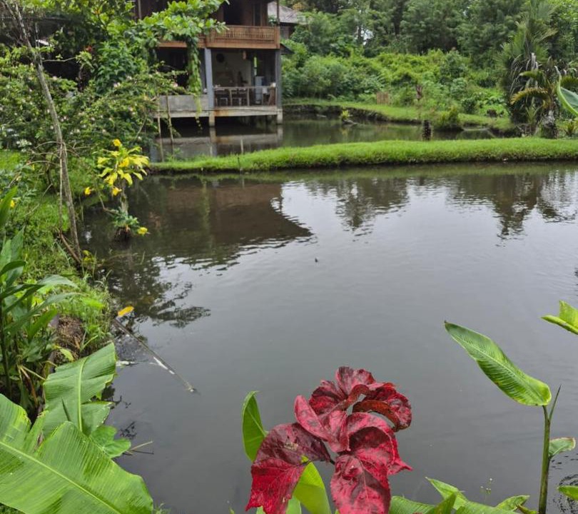 Photo of Others in Tomohon