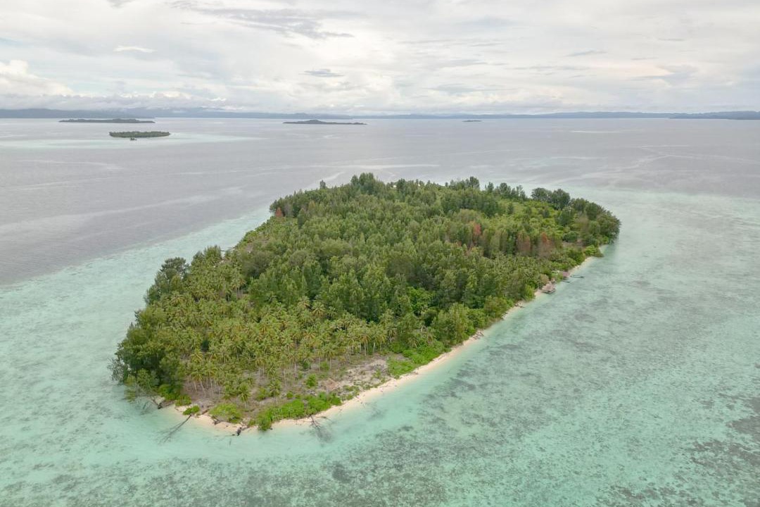 Photo of Others in Raja Ampat