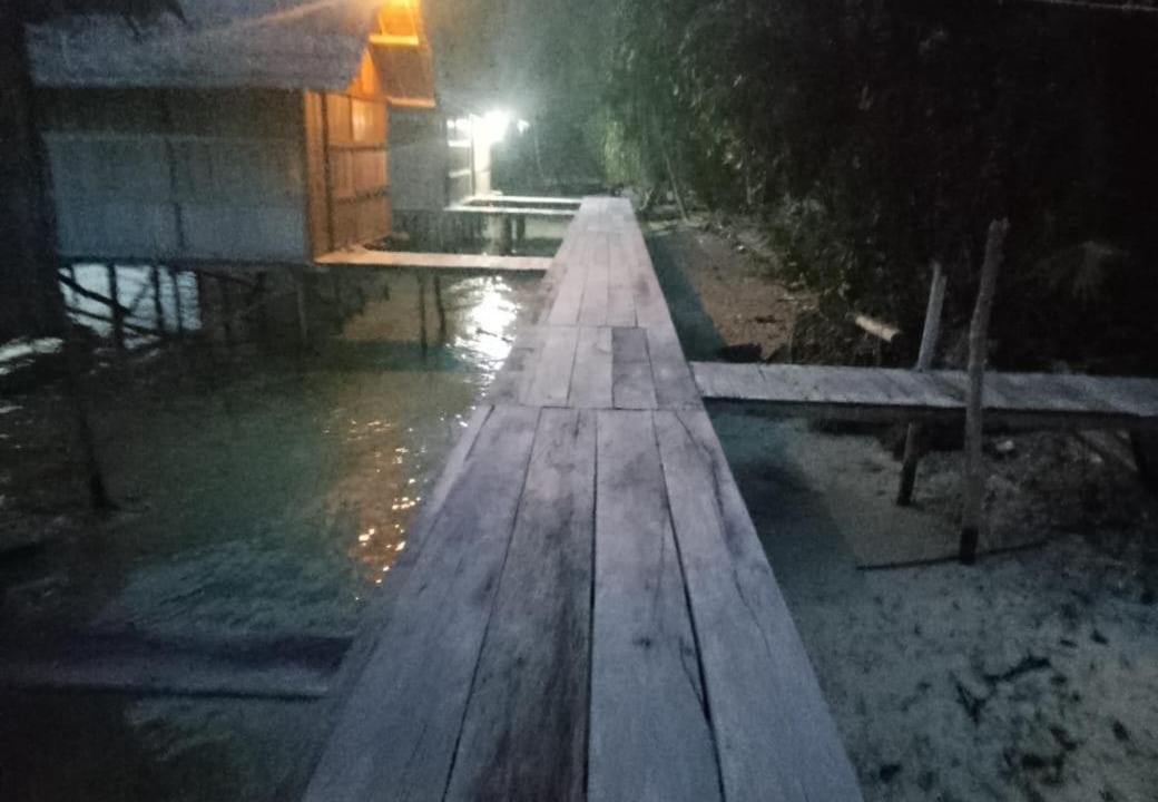 Photo of Others in Pianemo Islands