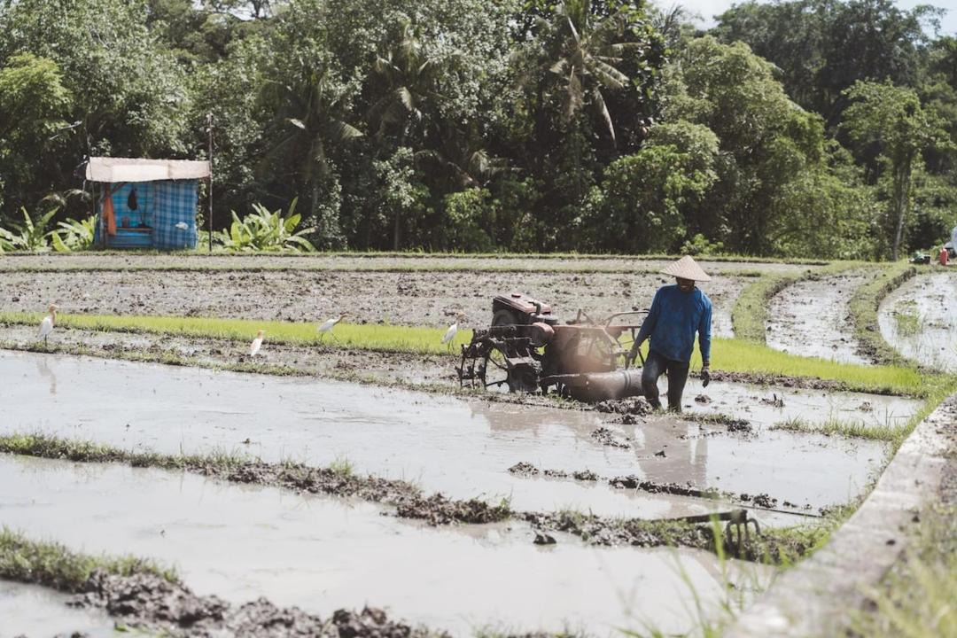 Photo of Others in Cepaka