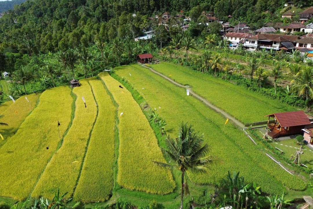 Photo of Others in Munduk