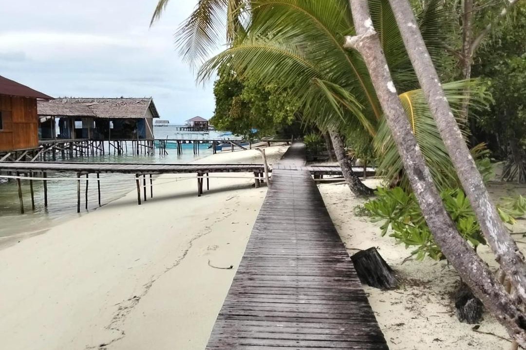 Photo of Others in Mansuar Island