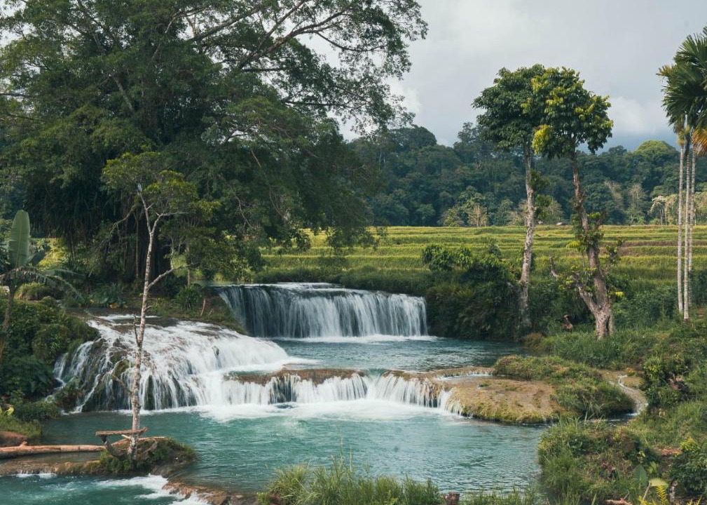 Photo of Others in Southwest Sumba