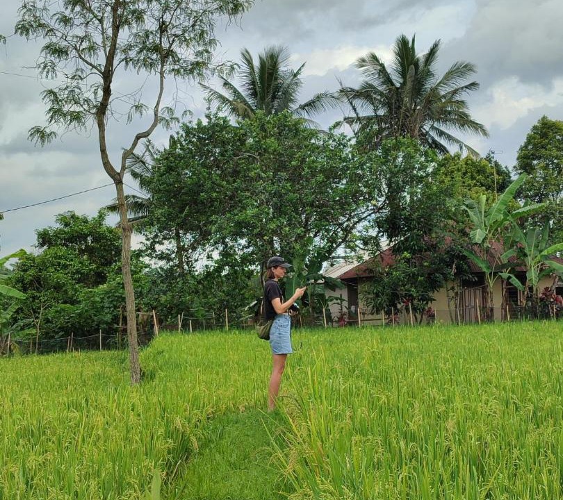 Photo of Others in Kecamatan Pringgasela