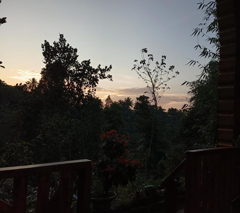 Photo of Others in Tetebatu