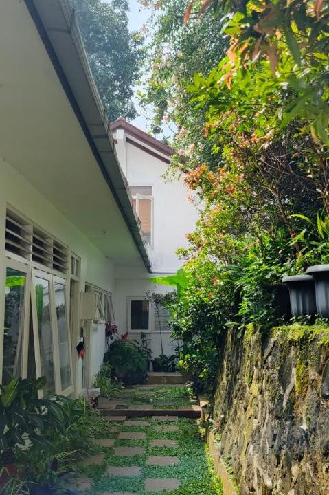 Photo of Others in Dago