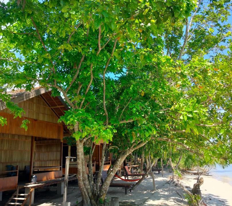 Photo of Others in Mansuar Island